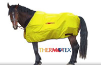 THERMOTEX - THE PAIN PAD